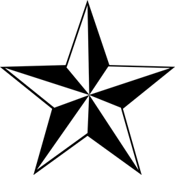 LoneStarStudios_256x256_Favicon