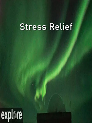 Stress Relief – Explore.org