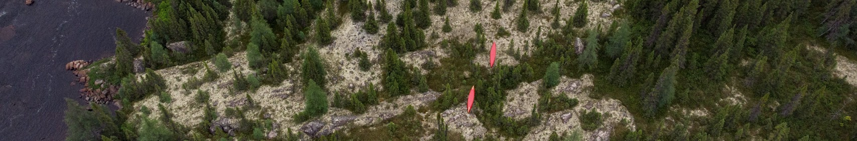 Northern Scavenger_banner